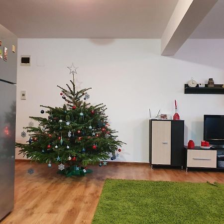 Gloria Apartament Appartement Baia Mare Buitenkant foto