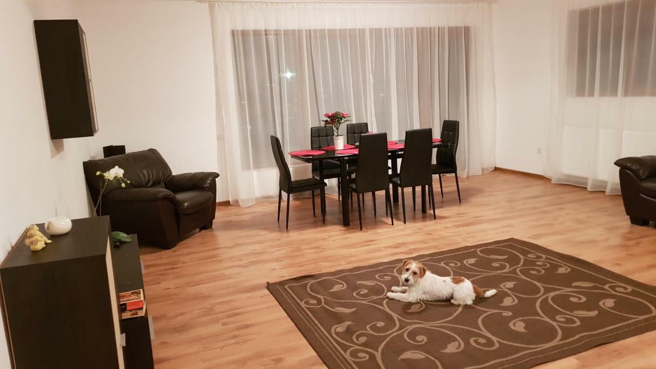 Gloria Apartament Appartement Baia Mare Buitenkant foto